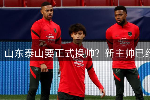 山东泰山要正式换帅？新主帅已经浮出水面，他有两大优势无人能及